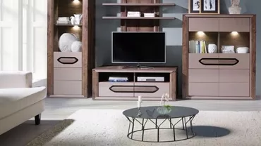 Sfaturi utile pentru a cumpăra o biblioteca potrivita pentru un living modern