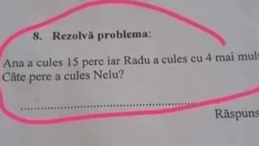VIRALUL ZILEI! Problema care 'bate' sistemul de învățământ românesc: Câte pere a cules Nelu?