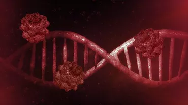 UPDATE // Surse: Primul caz confirmat de coronavirus în România. O a doua persoană suspectă ar fi în teste chiar în acest momente