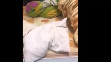 Imagini șocante dintr-un centru de carantină din Bihor: Nu a fost dezinfectat înainte, paturile miros a urină, nu a venit niciun medic