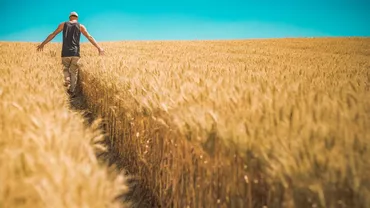Ministerul Agriculturii amână lansarea sesiunilor de depunere proiecte pentru mai multe măsuri finanţate din fonduri europene