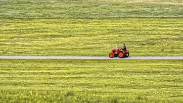 Ionuț Simionca (PMP), propunere pentru deblocarea plăților subvențiilor directe pentru agricultori: Înlocuirea cererii unice de plată, cu o declarație pe proprie răspundere
