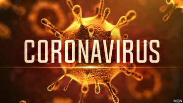 Totul despre coronavirus, noul virus care a blocat economia și a aruncat în carantină toată Europa