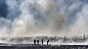 Incendiul care a determinat poluarea record din Capitală a izbucnit pe terenul unei firme în insolvență / Primar: Este fosta fermă Romsuintest Periș. Cineva rău intenționat a dat foc (FOTO, VIDEO)