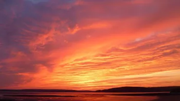În 2020 s-ar putea înregistra cele mai ridicate temperaturi de până acum. Iată ce spun meteorologii despre încălzirea globală