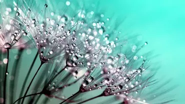 Prognoza meteo. Cum va fi vremea în săptămâna 22-28 iunie 2020