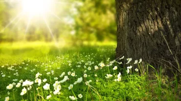 Prognoza meteo, azi, 28 iunie 2020. Vremea va deveni călduroasă