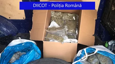 Cluj: Șapte persoane bănuite de trafic de droguri, reținute de procurorii DIICOT