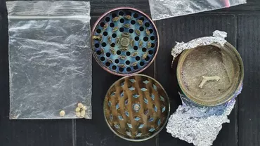 DIICOT: Percheziții domiciliare la 11 adrese pentru trafic și deținere de droguri. Cultură de cannabis descoperită în Dâmbovița