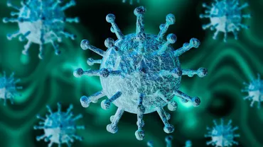 Cercetătorii au descoperit că există 6 tipuri diferite ale Covid-19