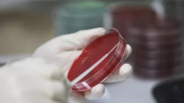 GCS: 20.085 de teste pentru coronavirus, efectuate în ultima zi. Câte s-au făcut la cerere și câte în baza protocolului medical