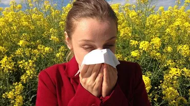 Alergia la ambrozie. Ce amenzi riscă în 2020 cei care nu curăță terenurile