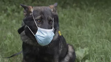 CORONAVIRUS | Lista județelor în care masca de protecție este obligatorie în spațiile publice deschise