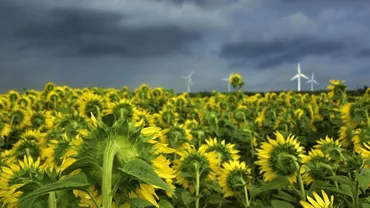 Prognoza meteo. Cum va fi vremea în săptămâna 24 - 31 august 2020