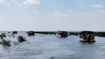 Turiștii care merg în Delta Dunării nu respectă regulile aplicabile într-o arie protejată: 'Păsările care până acum găseau aici un refugiu de liniște vor pleca și nu se vor mai întoarce' (FOTO)