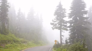 ANM, avertizare nowcasting: Cod galben de ceață în București și alte 10 județe. Vizibilitate redusă sub 200 de metri