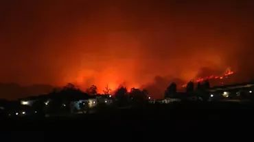 Spania: Incendiu violent de pădure în Andaluzia. Mii de persoane au fost evacuate din calea flăcărilor (VIDEO)