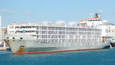 O navă care transporta aproape 6000 de vite, scufundată de taifun în Marea Chinei de Est. 42 de membrii ai echipajului sunt dați dispăruți