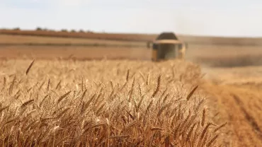 Fermierii vor primi despăgubirile pentru secetă începând din 18 septembrie