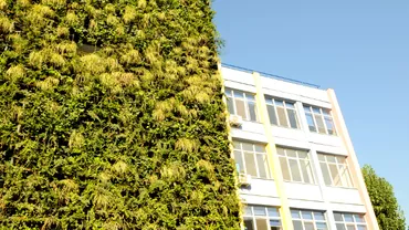 Primul liceu cu grădină pe perete, inaugurat în Sectorul 4: Peste 800 de elevi care învață la Colegiul Național “Octav Onicescu”  vor începe cursurile, anul acesta, într-o școală nouă (FOTO, VIDEO)