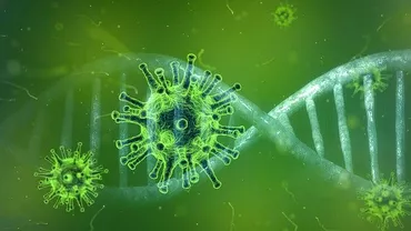 CORONAVIRUS | Suceava depășește 6.000 de cazuri de Covid-19. Alte trei județe au trecut de pragul de 5.000, iar Bucureștiul rămâne lider în topul negativ, cu peste 14.000 de infectări cu SARS-CoV-2