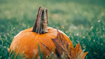 Prognoza meteo, azi, 02 octombrie 2020. Valorile termice vor fi în creştere