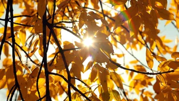 Septembrie 2020, cea mai caldă lună septembrie înregistrată la nivel global