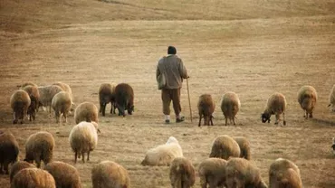 CELE MAI TARI BANCURI CU CIOBANI: Ce au pățit doi ciobani când au mers la cumpărături