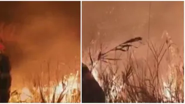 Incendiu de proporții la Vadu, în Constanța. Au ars 6.000 de hectare de vegetație (VIDEO)