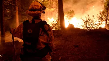 Incendiu scăpat de sub control în California. Peste 90.0000 de oameni au fost evacuați (VIDEO)