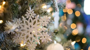 Klaus Iohannis: Sărbătorile de iarnă din 2020, diferite față de alți ani. Cu siguranță, vor fi restricții. Cred că anul acesta ne vom întoarce la ce înseamnă Crăciunul, sărbătoarea în și cu familia (VIDEO)