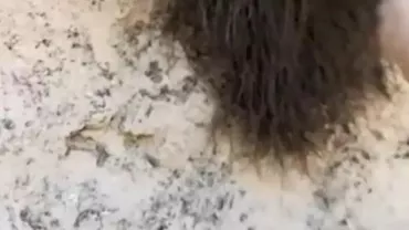 A crezut că e un animal. Când l-a atins, s-a dezlănțuit COȘMARUL! Ce era, de fapt, i-a îngrozit pe toți (FOTO)