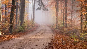 Cod galben de ceață în 6 județe din România, anunțat pentru după-amiaza zilei de joi