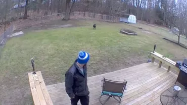 Iubitul ei a ieșit să se joace cu câinele și a vrut să vadă cum se descurcă. S-a uitat pe camera de supraveghere și a postat filmulețul pe o rețea de socializare. Nu se aștepta nicio clipă însă la reacții: „Părăsește-l imediat!” (VIDEO)