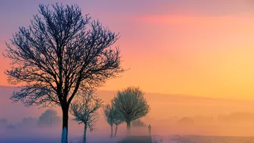 Prognoza meteo, azi, 20 ianuarie 2021. Gerul începe să se înmoaie, însă continuă să ningă