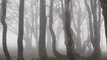 Prognoza meteo. Cod galben de ceață și precipitații mixte în mai multe județe ale țării