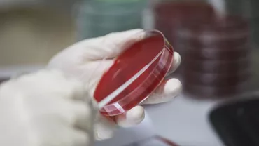 București și Timiș au raportat cele mai multe noi cazuri de coronavirus. Bilanțul epidemiei pe județe