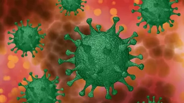 Noi ipoteze privind originea noului coronavirus. Cercetător OMS: E posibil să nu fi apărut în China și să se fi transmis la om printr-o „gazdă intermediară” (VIDEO)