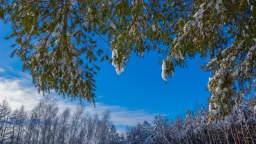 Prognoza meteo, azi, 21 februarie. Temperaturi în ușoară creștere în cea mai mare parte a ţării