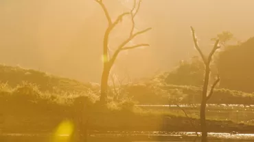 Prognoza meteo, 3 martie 2021. Temperaturi de primăvară și cer senin. Vântul adie în sud-estul țării