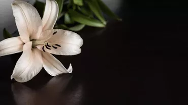 La ce trebuie să fii atent/ă atunci când apelezi la servicii funerare?