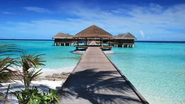 Percheziții la o agenție de turism din Capitală: Ar oferi contra cost buletine de analize medicale falsificate, cu rezultat negativ pentru virusul SARS-CoV-2, persoanelor ce călătoresc în afara ţării