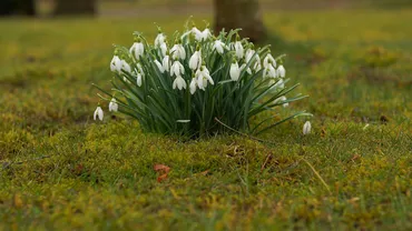 Prognoza meteo, azi, 18 aprilie 2021. Vreme închisă și temperaturi mai scăzute decât cele normale pentru această perioadă