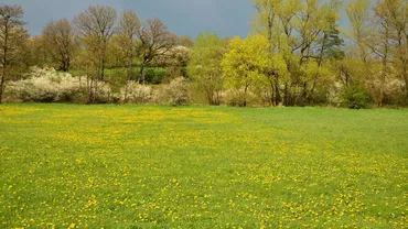 Prognoza meteo, azi, 22 mai 2021. Vremea se încălzește în majoritatea zonelor țării