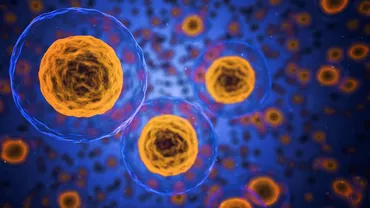 Studiu: Un alt virus mortal ar putea suferi mutații care să dea naștere la o nouă pandemie