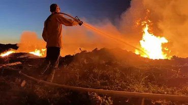 Incendiile din California se răspândesc alarmant. Statul din SUA se confruntă cu temperaturi extreme