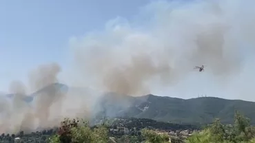 Incendiu în apropiere de Atena: Au ars mari întinderi de pădure, iar flăcările se apropie de suburbiile capitalei Greciei