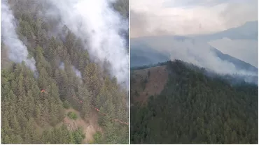 Incendiu de proporții la Clisura Dunării. Cinci hectare de pădure, în flăcări. Autoritățile au solicitat un elicopter MAI (VIDEO)