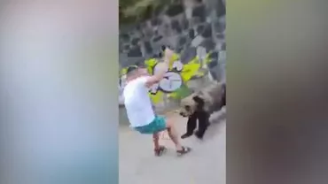 Un bărbat a fost la un pas să fie sfâșiat de urs, după ce s-a apropiat să-l fotografieze (VIDEO)