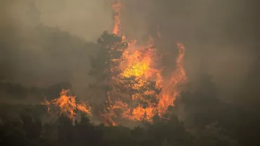 Incendiile de vegetație fac ravagii în Turcia. Mii de locuitori au fost evacuați